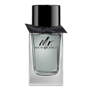 mr-burberry-eau-de-toilette-fragrance-for-men-100ml