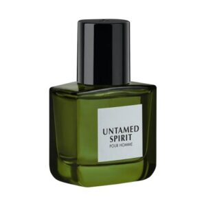 junaid-jamshed-j-untamed-spirit-pour-homme-eau-de-parfum-for-men-30ml