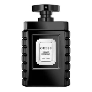 guess-uomo-intenso-men-homme-edp-100ml